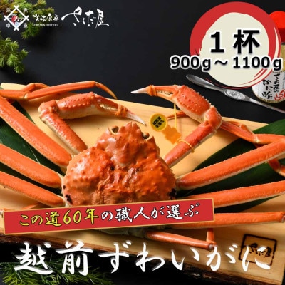 【3月より順次発送!】浜茹で越前ずわい900〜1100g 1杯 かに酢&かにスプーン付き【配送不可地域:離島】【1341897】福井県越前町108000魚介・海産物カニ