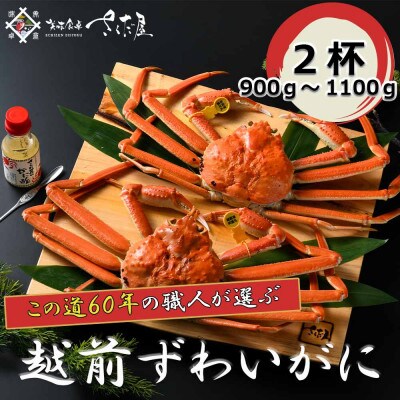【3月より順次発送!】浜茹で越前ずわい900〜1100g 2杯 かに酢&かにスプーン付き【配送不可地域:離島】【1341912】福井県越前町216000魚介・海産物カニ