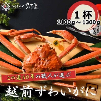 【3月より順次発送!】浜茹で越前ずわい1100〜1300g 1杯 かに酢&かにスプーン付き【配送不可地域:離島】【1341913】福井県越前町126000魚介・海産物カニ