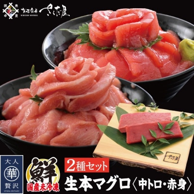 国産生本マグロ 中トロと赤身 2種セット 合計300g【配送不可地域:離島・北海道・沖縄】【1346574】福井県越前町18000魚介・海産物鮮魚