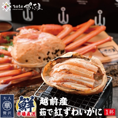 【4〜6月より順次発送!】越前港浜茹で紅ずわいがに 1杯【配送不可地域:離島】【1355478】福井県越前町7000魚介・海産物カニ