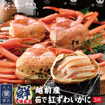 y4`6菇!zzO`l䥂ōg킢Ɂ@3tyzsnFzy1355486z䌧zO20000ECYJj