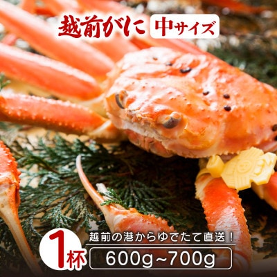 nNXI l䥂Ł zO TCY 1ty3zyzsnFzy1372576z䌧zO55000ECYJj