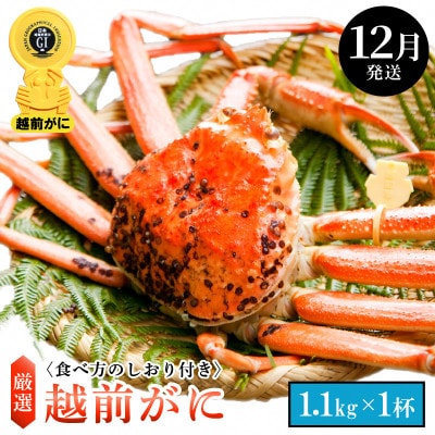 ≪浜茹で≫ 越前がに 特大サイズ(生で1.1kg以上) × 1杯【1月発送分】【配送不可地域:離島・北海道・沖縄】【1372625】福井県越前町172000魚介・海産物カニ