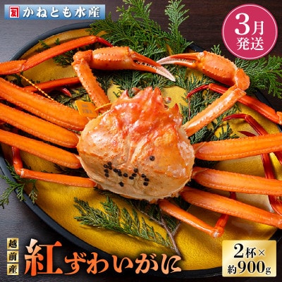 ≪浜茹で≫越前産 紅ずわいがに × 2杯【3月発送分】【配送不可地域:離島・北海道・沖縄・東北・関東・中国・四国・九州】【1372653】福井県越前町40000魚介・海産物カニ