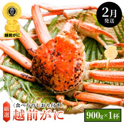 ≪浜茹で≫ 越前がに 中サイズ × 1杯【2月発送分】【配送不可地域:離島・北海道・沖縄】【1372663】福井県越前町108000魚介・海産物カニ