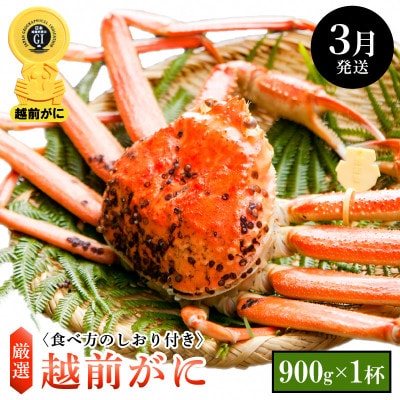 l䥂Ł zO TCY × 1ty3zyzsnFEkCEzy1372664z䌧zO97000ECYJj
