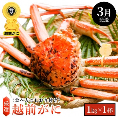≪浜茹で≫ 越前がに 大サイズ × 1杯【3月発送分】【配送不可地域:離島・北海道・沖縄・東北・関東・中国・四国・九州】【1372671】福井県越前町108000魚介・海産物カニ