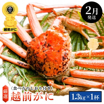 ≪浜茹で≫ 越前がに 特大サイズ(生で1.3kg以上) × 1杯【2月発送分】【配送不可地域:離島・北海道・沖縄】【1372676】福井県越前町183000魚介・海産物カニ