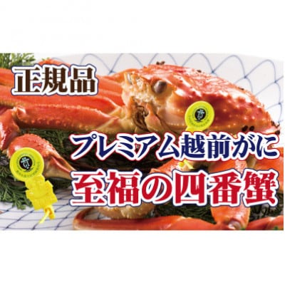 ˔!lԊI@̃v~AzO × 1t ᐶy2E3zyzsnFEkCEElEBzy1374272z䌧zO158000ECYJj