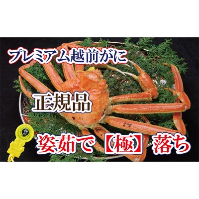 ˔!zO̕yɁz@v~AzO × 1t ᐶy2E3zyzsnFEkCEElEBzy1374324z䌧zO750000ECYJj