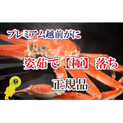 桐箱入り!越前の宝【極】落ち プレミアム越前がに × 1杯 ≪浜茹で≫【2・3月発送分】【配送不可地域:離島】【1374328】福井県越前町750000魚介・海産物カニ