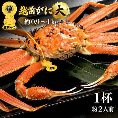 zO l䥂 TCY(Ŗ0.9`1kg) × 1t 2lOy3zyzsnFEkCEEBzy1383626z䌧zO108000ECYJj