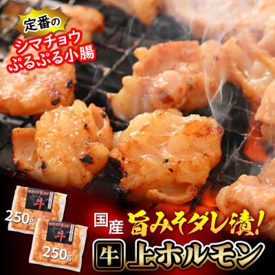 国産牛 上ホルモン 計500g(250g × 2袋)【配送不可地域:離島】【1403560】福井県越前町9000肉牛肉