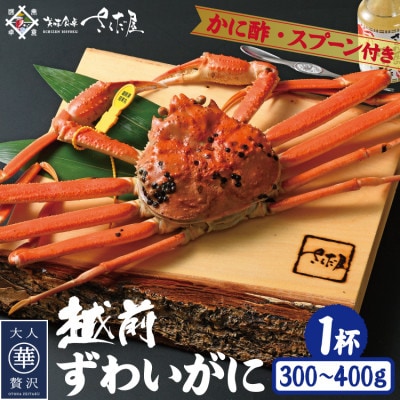 浜茹で越前ずわい約300〜400g 1杯 かに酢&かにスプーン付き【配送不可地域:離島】【1404900】福井県越前町45000魚介・海産物カニ