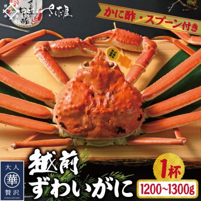 浜茹で越前ずわい1200〜1300g 1杯 かに酢&かにスプーン付き【配送不可地域:離島】【1404919】福井県越前町180000魚介・海産物カニ