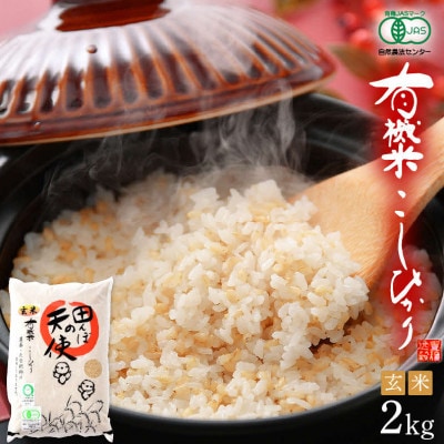 【有機栽培 JAS認証】 越前コシヒカリ 2kg 令和5年産 福井県産【玄米】【1411177】福井県越前町7000米・パン玄米・雑穀米・もち米・餅