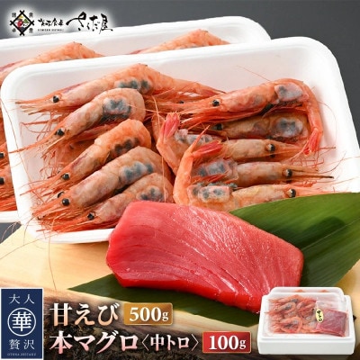 お刺身 セット 甘海老 250g×2P & 本まぐろ 中トロ 100g×1P【配送不可地域:離島】【1419942】福井県越前町17000魚介・海産物エビ
