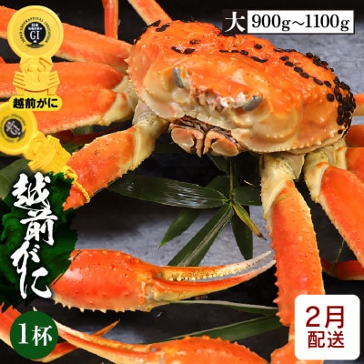 ≪浜茹で≫越前がに 大サイズ × 1杯【2月発送分】【配送不可地域:離島】【1445803】福井県越前町140000魚介・海産物カニ
