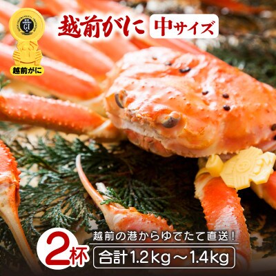 地元鮮魚店厳選 ≪浜茹で≫ 越前がに 中サイズ 2杯【11月発送分】【配送不可地域:離島】【1447983】福井県越前町120000魚介・海産物カニ
