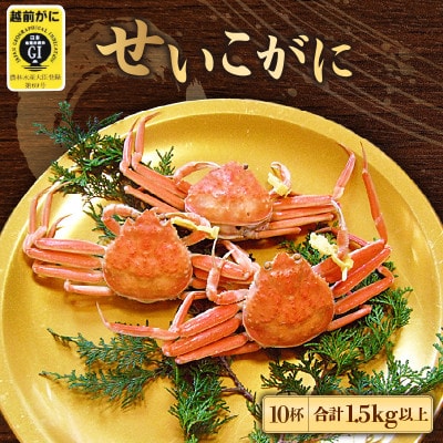 地元鮮魚店厳選 ≪浜茹で≫ 越前せいこがに 10杯【11・12月発送】【配送不可地域:離島】【1448162】福井県越前町80000魚介・海産物カニ