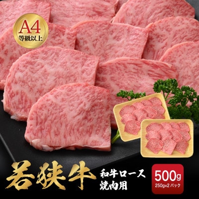 ዷ a[Xēp v500g(250g × 2pbN)yzsnFzy1462057z䌧zO39000