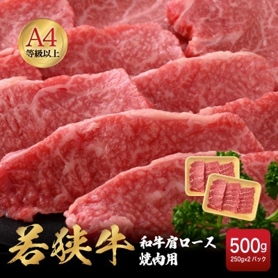 若狭牛 和牛肩ロース焼肉用 計500g(250g × 2パック)【配送不可地域:離島】【1462065】福井県越前町24000肉牛肉