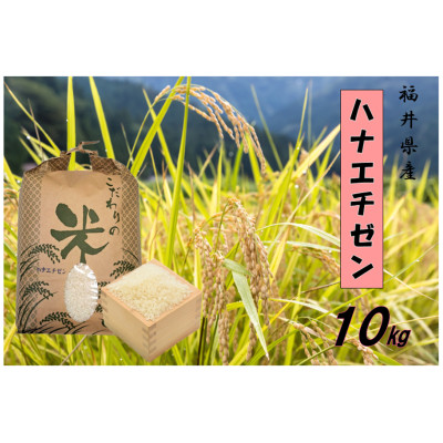 令和7年産 ハナエチゼン(精米) 10kg【1462111】福井県越前町29000米・パン白米