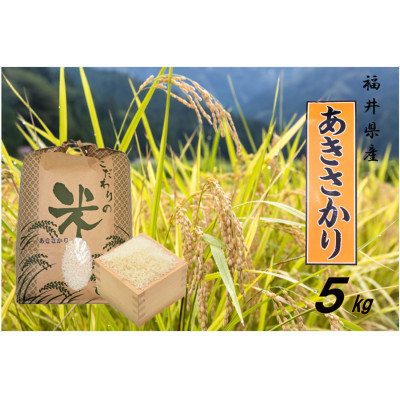 令和7年産 あきさかり(精米) 5kg【1465333】福井県越前町15000米・パン白米