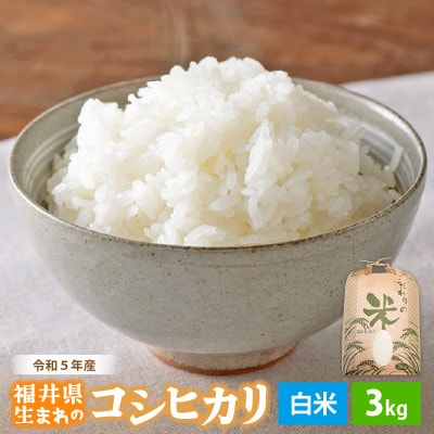 令和7年産 コシヒカリ(精米) 3kg【1465352】福井県越前町10000米・パン白米