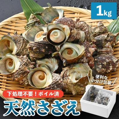 Yn!VR {C 1kg(500g × 2)y2024N610ȍ~zyzsnFzy1465641z䌧zO9000ECYL
