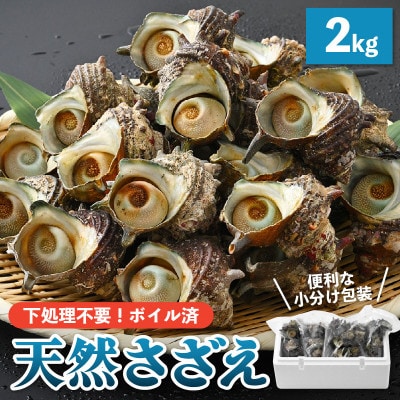 Yn!VR {C 2kg(500g × 4)y2024N610ȍ~zyzsnFzy1465644z䌧zO16000ECYL