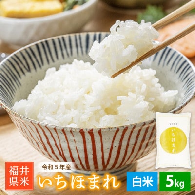 令和5年産 いちほまれ(精米) 5kg【1485271】福井県越前町8500米・パン白米