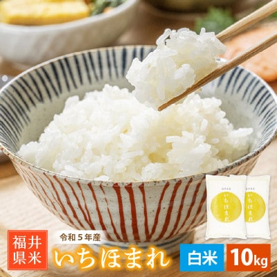 令和5年産 いちほまれ(精米) 10kg【1485293】福井県越前町16000米・パン白米