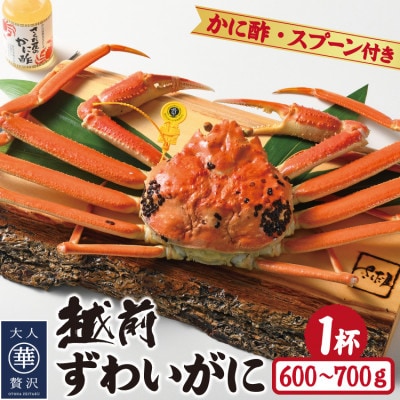 【11月より順次発送】浜茹で越前ずわいがに約600〜700g 1杯 かに酢&かにスプーン付き【配送不可地域:離島】【1508750】福井県越前町65000魚介・海産物カニ