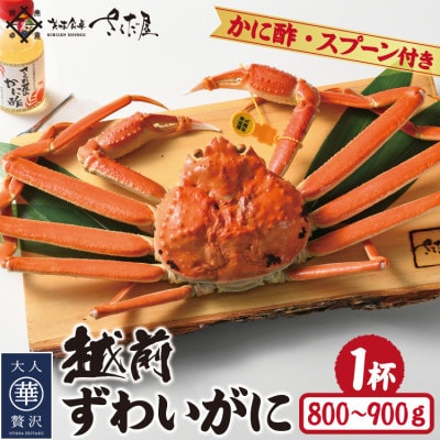 【11月より順次発送】浜茹で越前ずわいがに約800〜900g 1杯 かに酢&かにスプーン付き【配送不可地域:離島】【1508753】福井県越前町85000魚介・海産物カニ