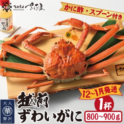 【12〜1月発送】浜茹で越前ずわい約800〜900g 1杯 かに酢&かにスプーン付き【配送不可地域:離島】【1508755】福井県越前町105000魚介・海産物カニ