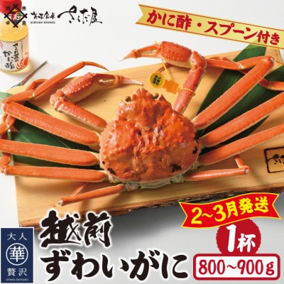 【2〜3月発送】浜茹で越前ずわい約800〜900g 1杯 かに酢&かにスプーン付き【配送不可地域:離島】【1508756】福井県越前町75000魚介・海産物カニ