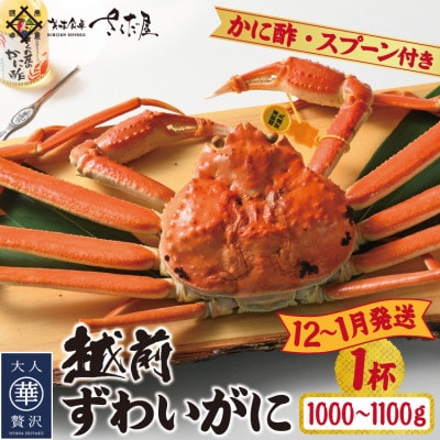 【12〜1月発送】浜茹で越前ずわい約1000〜1100g 1杯 かに酢&かにスプーン付き【配送不可地域:離島】【1508758】福井県越前町160000魚介・海産物カニ