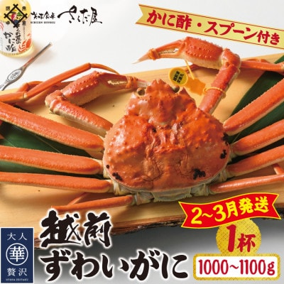 【2〜3月発送】浜茹で越前ずわい約1000〜1100g 1杯 かに酢&かにスプーン付き【配送不可地域:離島】【1508759】福井県越前町105000魚介・海産物カニ