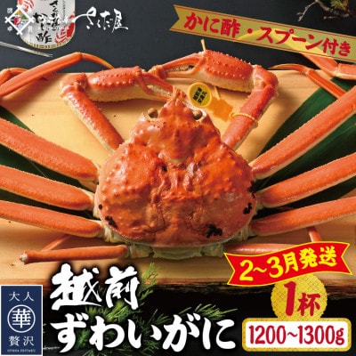 【2〜3月発送】浜茹で越前ずわい約1200〜1300g 1杯 かに酢&かにスプーン付き【配送不可地域:離島】【1508764】福井県越前町125000魚介・海産物カニ
