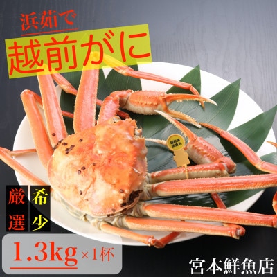 【2025年1月中旬頃より順次発送】〈浜茹で〉越前がに 1.3kg以上×1杯【配送不可地域:離島・北海道・沖縄】【1508782】福井県越前町192000魚介・海産物カニ