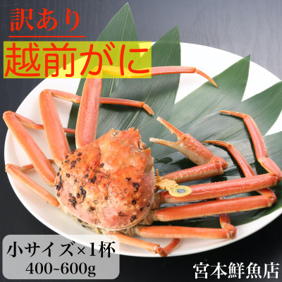 【2025年2月より順次発送】【訳あり】≪浜茹で≫越前がに 小サイズ×1杯【配送不可地域:離島・北海道・沖縄】【1511296】福井県越前町26000魚介・海産物カニ