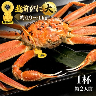 越前がに 浜茹で 大サイズ(生で約0.9〜1kg) × 1杯 約2人前【2月より順次発送】【配送不可地域:離島・北海道・沖縄】【1514740】福井県越前町108000魚介・海産物カニ