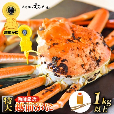 ≪浜茹で≫ 越前がに 特大  1杯 かに酢  食べ方QRコード付き【2月より発送】【配送不可地域:離島・北海道・沖縄・東北・関東・中国・四国・九州】【1515085】福井県越前町158000魚介・海産
