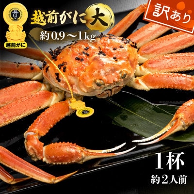 y󂠂zzO l䥂 TCY(Ŗ0.9`1kg)× 1t 2lOy12菇zyzsnFEkCEzy1516787z䌧zO143000ECYJj
