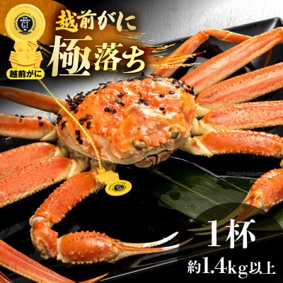 zO l䥂 ɗ(Ŗ1.4kgȏ)× 1ty2菇zyzsnFEkCEzy1516878z䌧zO258000ECYJj