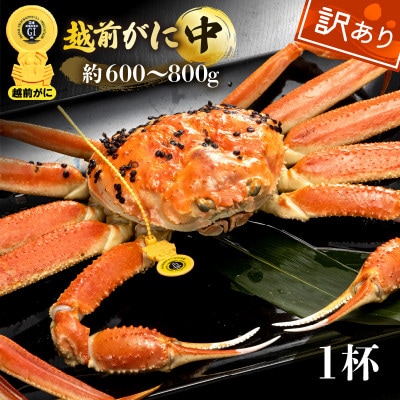 【訳あり】≪浜茹で≫越前がに 中サイズ(生で約600〜800g) × 1杯【2月より順次発送】【配送不可地域:離島・北海道・沖縄】【1535383】福井県越前町42000魚介・海産物カニ