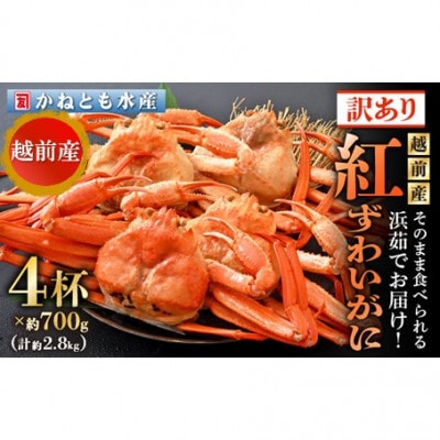 【訳あり】≪浜茹で≫越前産 紅ずわいがに 約700g × 4杯 食べ方しおり付【12月発送分】【配送不可地域:離島・北海道・沖縄・東北・関東・中国・四国・九州】【1554935】福井県越前町48500魚