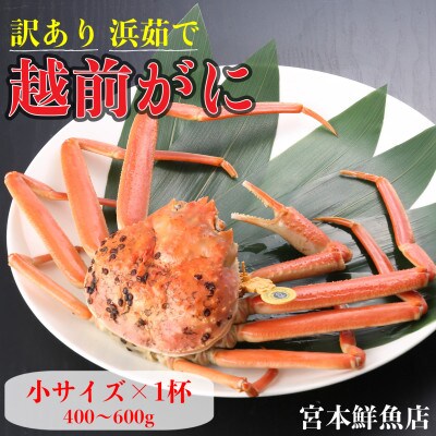 【2025年12月より順次発送】【訳あり】《浜茹で》越前がに 小サイズ×1杯【配送不可地域:離島・北海道・沖縄】【1611468】福井県越前町35000魚介・海産物カニ